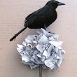black-crow-topiary17-done-250x282