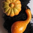 pumpkins2-230x290