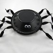 big-hairy-tarantula-thumb-176x150