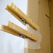 clothespin-clamps-300x253